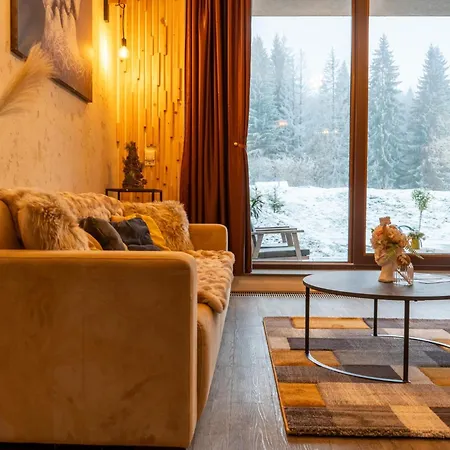 Apartment Mohost Silver D - Luxury Mountain Brasov