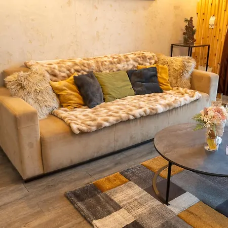 Mohost Silver D - Luxury Mountain * Brasov