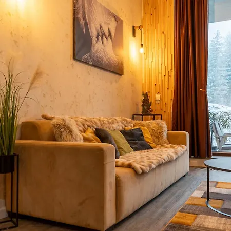 Apartment Mohost Silver D - Luxury Mountain Brașov