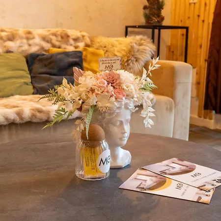 Mohost Silver D - Luxury Mountain Apartment Brasov